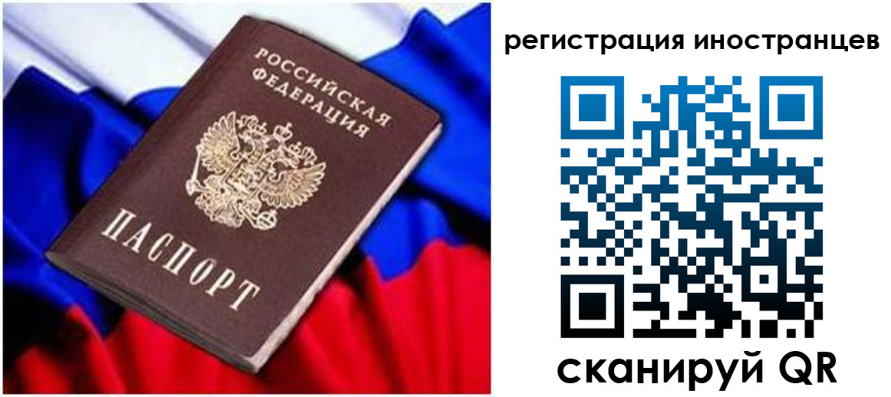 прописка для школы в Снежногорске